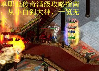 单职业传奇满级攻略指南：从小白到大神，一览无余